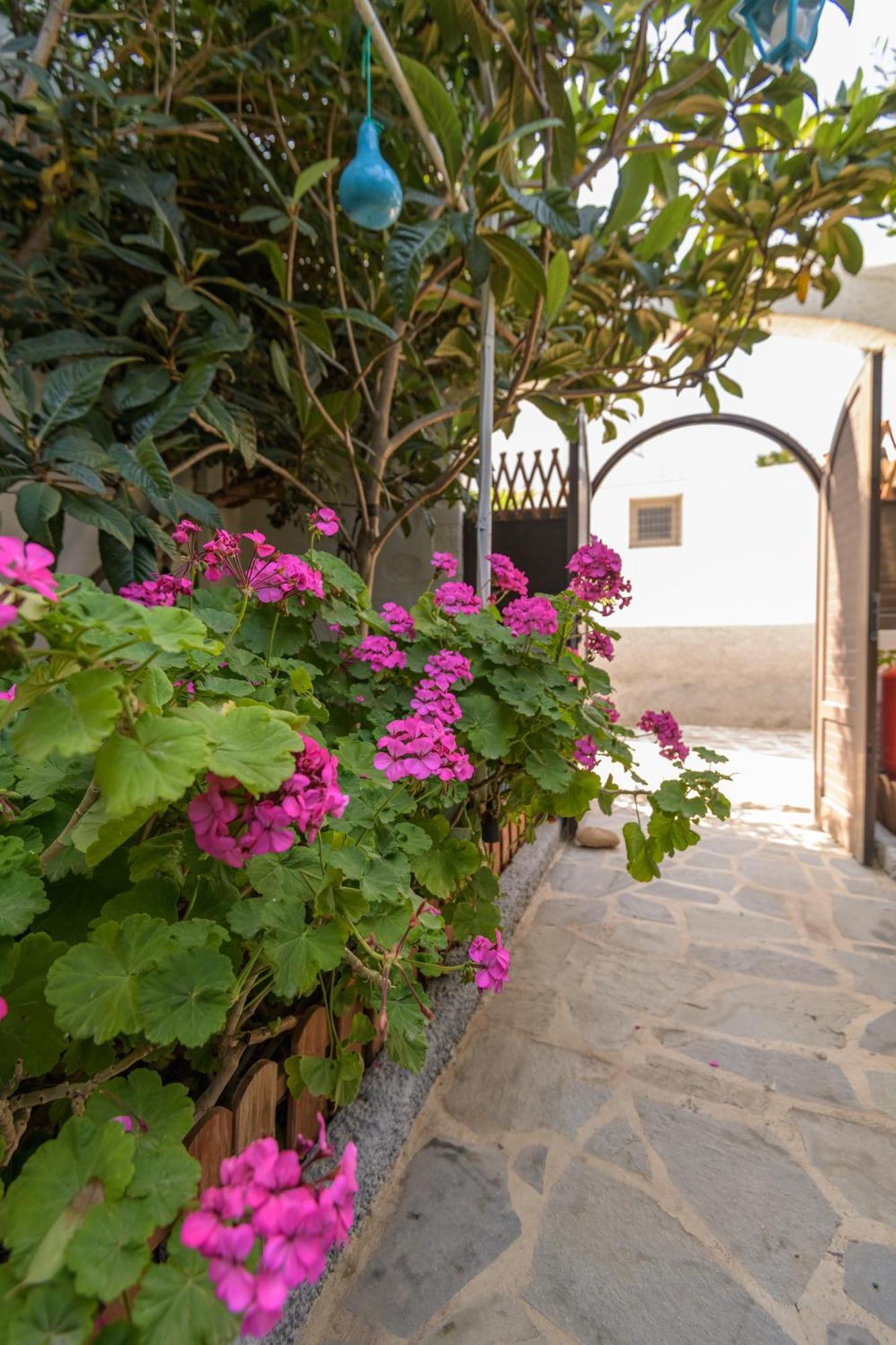Grikos Hotel Patmos Town Exterior photo